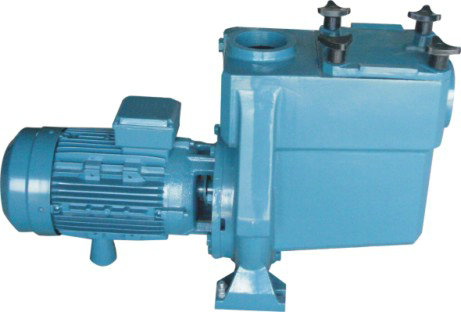 DEPA Cast iron water pumps 