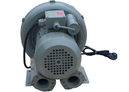 Special spa pump 