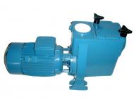 DEPA Cast iron water pumps 