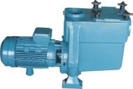 DEPA Cast iron water pumps 